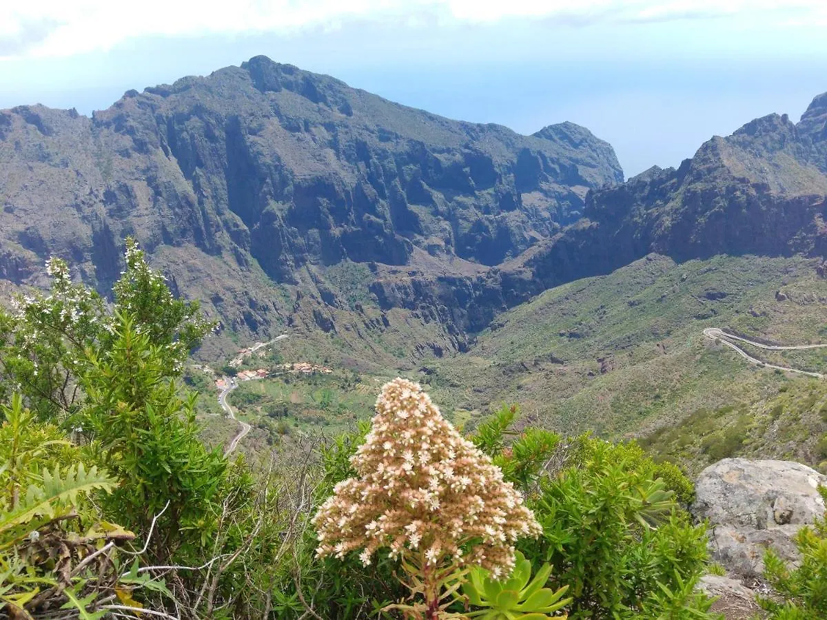 Candelaria Mountain View Apartment with Pool Spain
